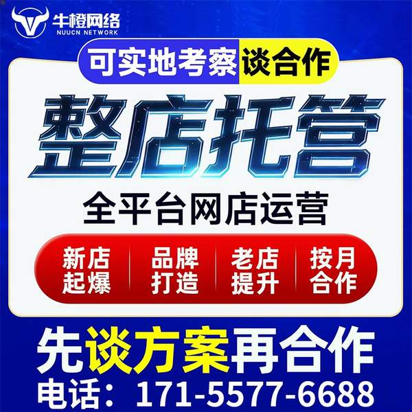 衢州电商代运营